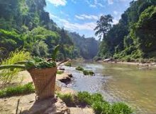 প্রাকৃতিক ভূদৃশ্য