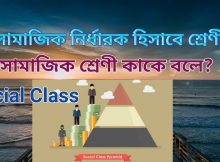 সামাজিক শ্রেণী