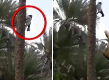 অলৌকিক ঘটনা