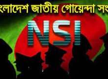 গোয়েন্দা