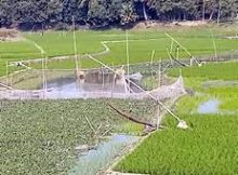 জাট এলাকা