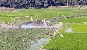 জাট এলাকা