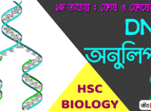 ডিএনএ অনুলিপন