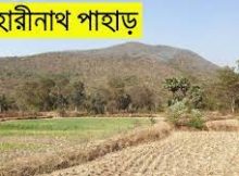 বিহারীনাথ