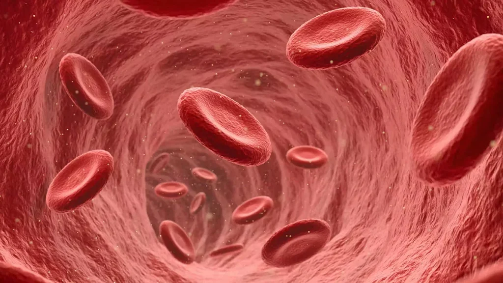 রক্ত