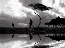 রাঢ়
